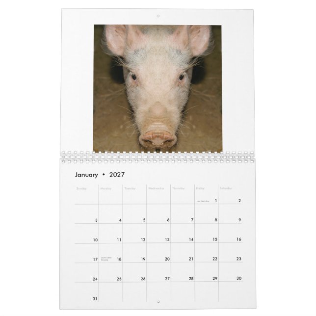 Promo del calendario (Jan 2027)