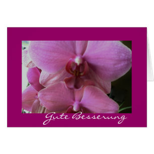 Propiedad de orquídea besserung