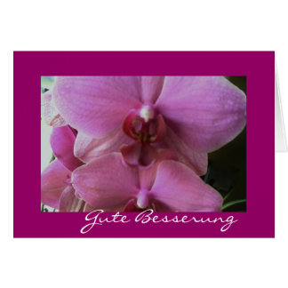 Propiedad de orquídea besserung