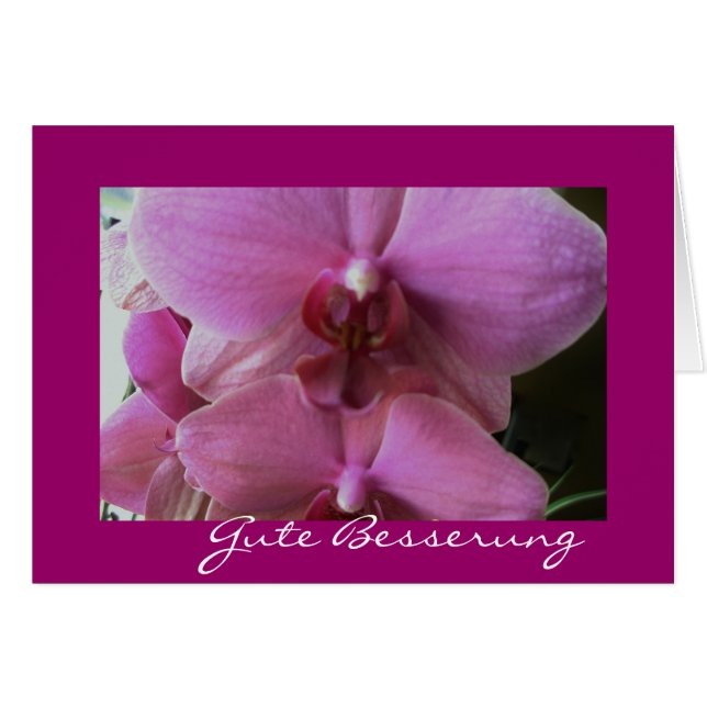 Propiedad de orquídea besserung (Anverso (Horizontal))