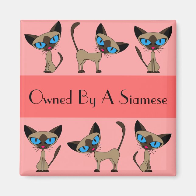 Propiedad De Un Imán Siamés (Frente)