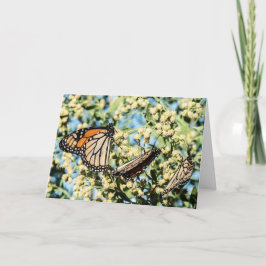 Proporcionar tarjeta de empresa