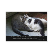 Proporcionaré tarjetas del negocio o de visita