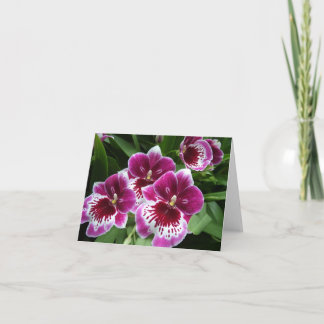 Propósito general de notecard floral - Orquídea fr