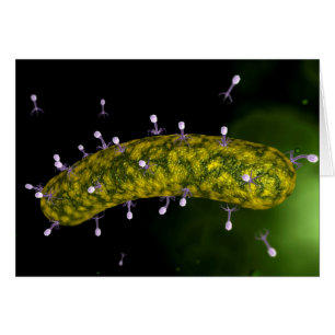 Propósito microscópico de atacar del bacteriófa