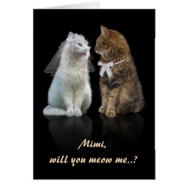 Propuesta para amantes de gatos