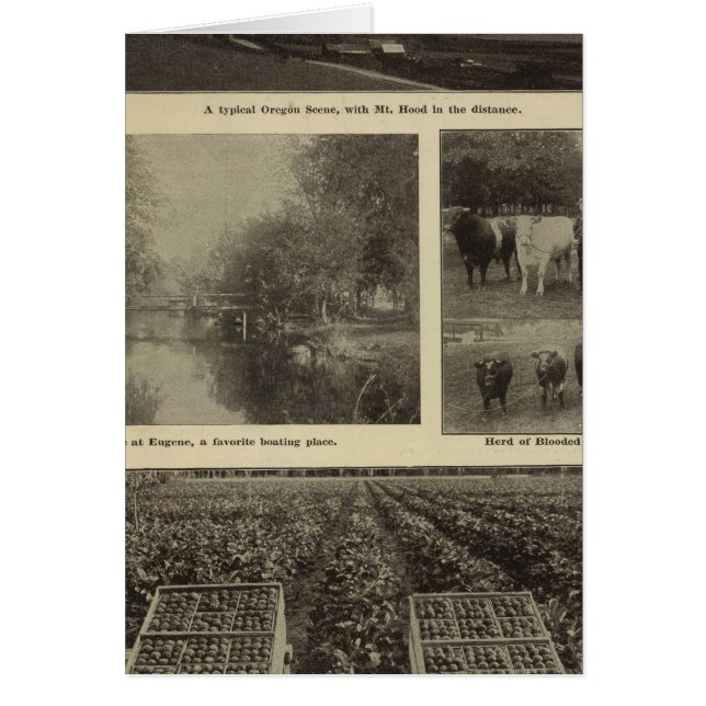 Prosperidad, abundancia en Oregón (Frente)