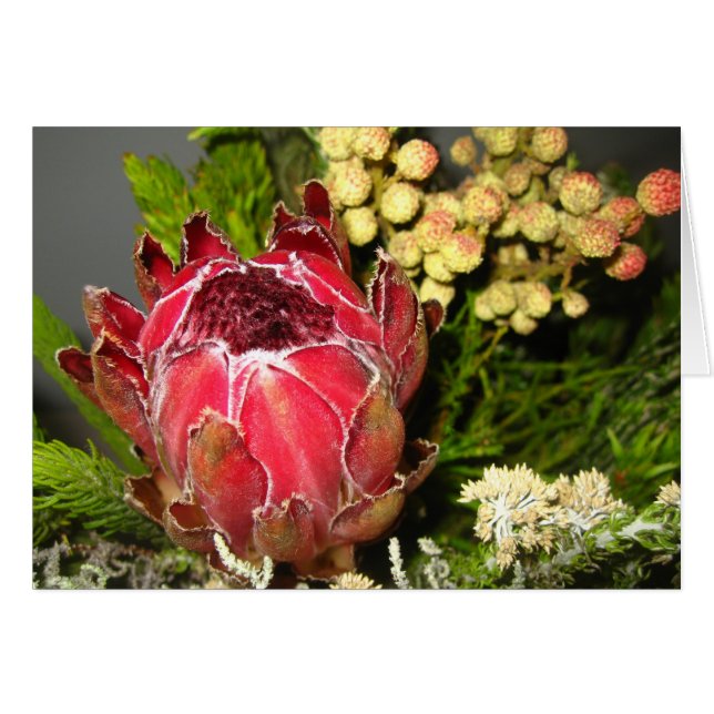 Protea Bouquet (Anverso (Horizontal))