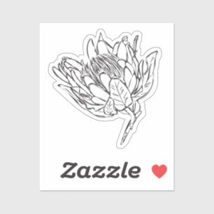 Protea personalizado blanco y negro pegatina VIII