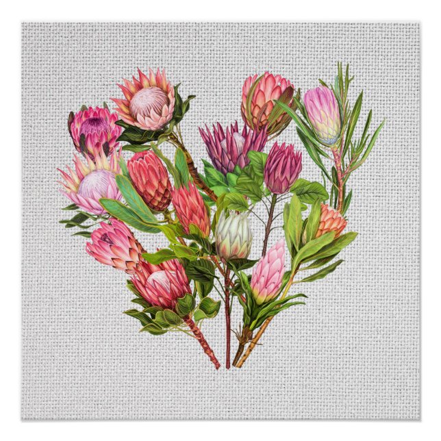 Protea Poster (Anverso)