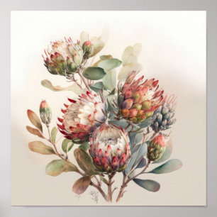 Protea Sugarbushes Poster de impresión de arte flo