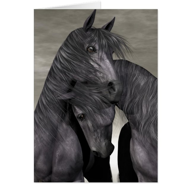 Protección A Todo Costo (Frente)