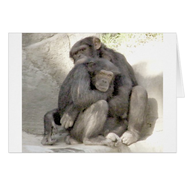 Protección del amor_ (Anverso (Horizontal))