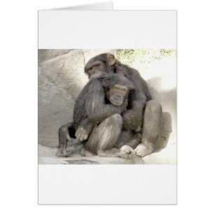 Protección del amor_