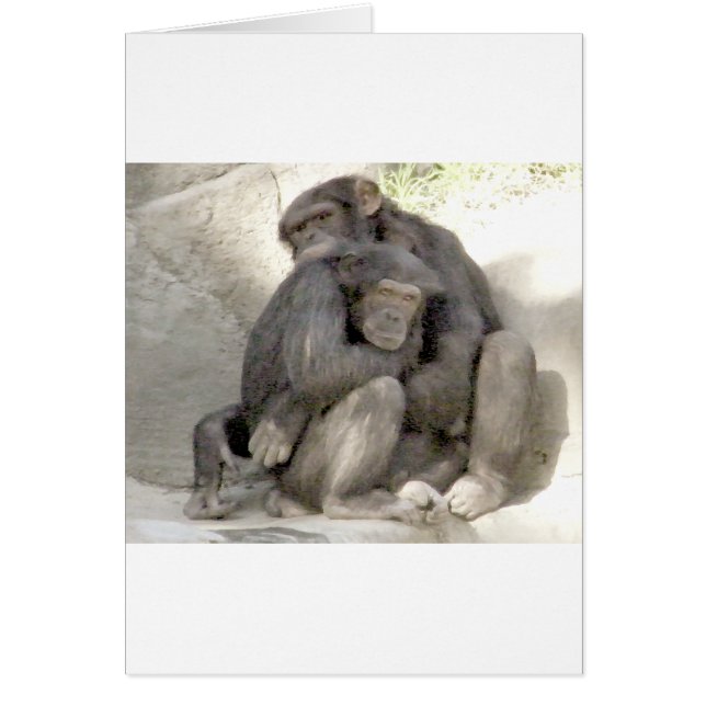 Protección del amor_ (Frente)