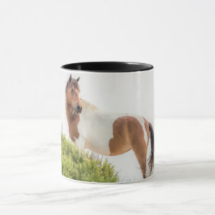Protector de la taza de las dunas