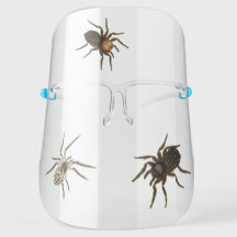 Halloween de arañas espeluznantes