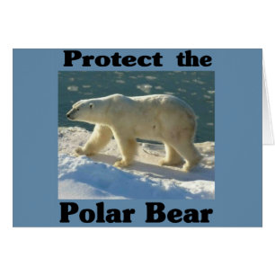 Proteger el oso polar