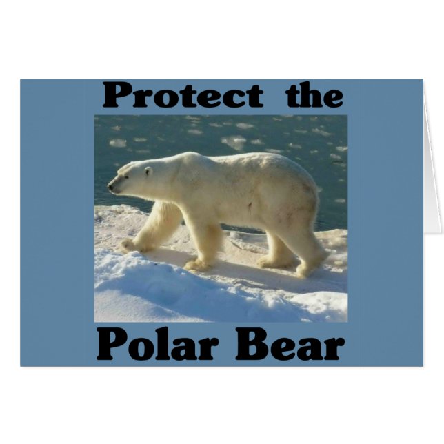 Proteger el oso polar (Anverso (Horizontal))