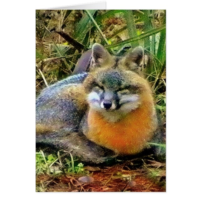 PROTEGER LA VIDA SALVAJE (Frente)