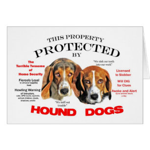 Protegido por perros hondos