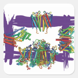 Proteínas De Membrana A Través De Pegatinas De Caj