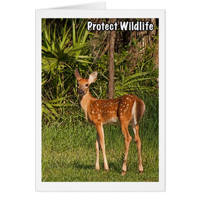 Proteja la fauna (Frente)