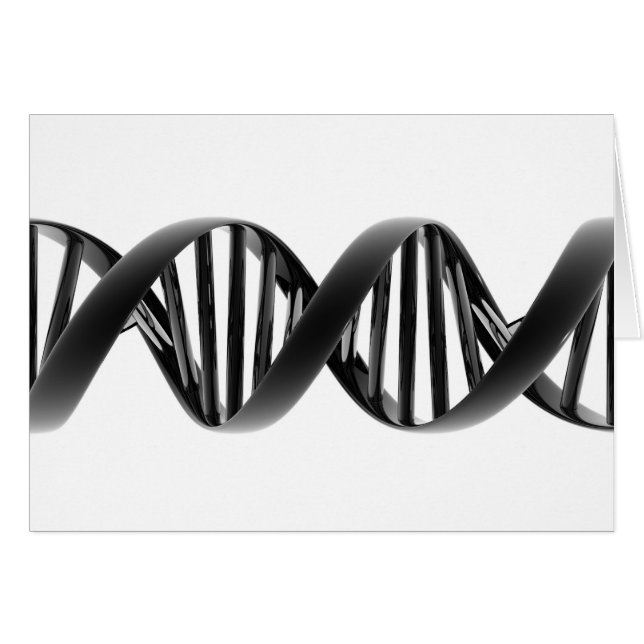 Prototipo (Anverso (Horizontal))