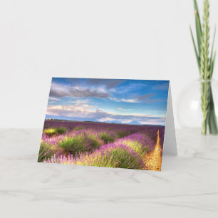 Provence - la lavanda coloca la tarjeta de