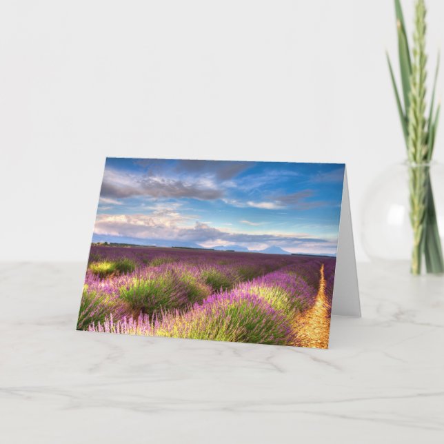 Provence - la lavanda coloca la tarjeta de (Anverso)