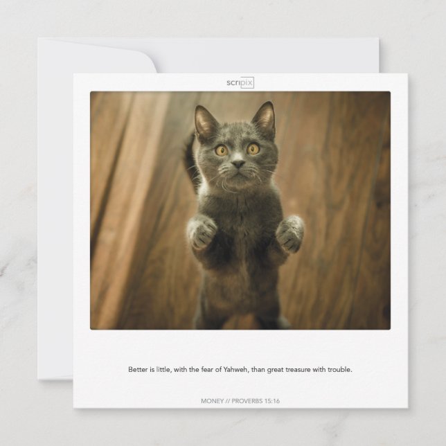 Proverbios 15:16 Tarjeta SCRIPIX de DINERO (Anverso)