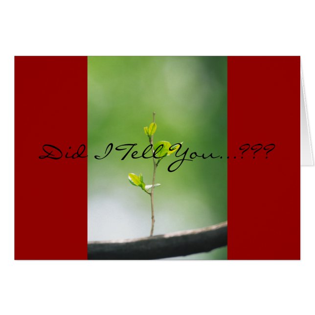 Proverbios 18:21 - Amor (Anverso (Horizontal))