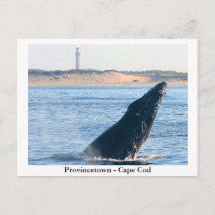 Provincetown - postal de Cape Cod