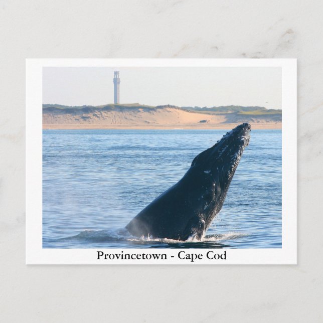 Provincetown - postal de Cape Cod (Anverso)