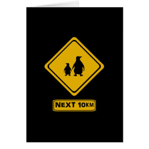 próximos 10 km pingüinos