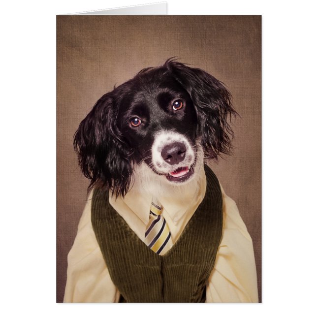 Proyecto de mascotas del refugio - obús (Frente)