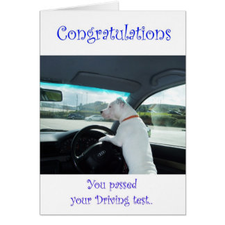 Prueba de conducción superada por Cleo