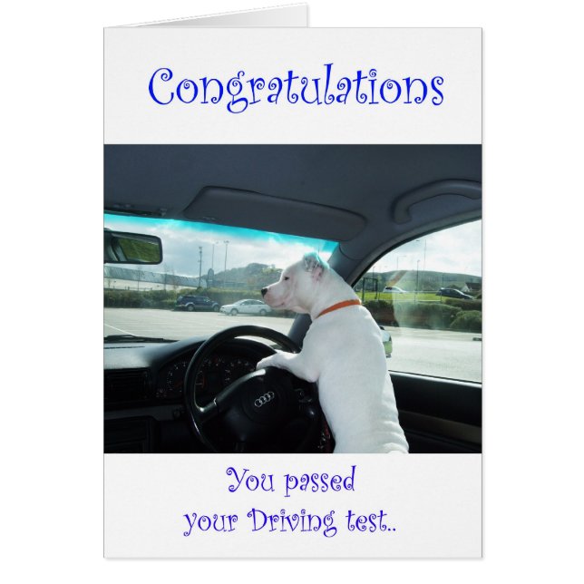 Prueba de conducción superada por Cleo (Frente)