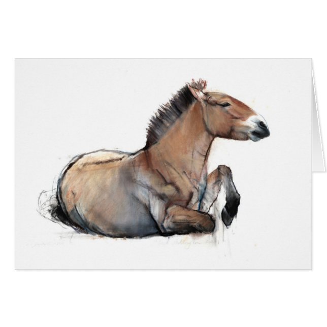 Przewalski asentado 2011 (Anverso (Horizontal))