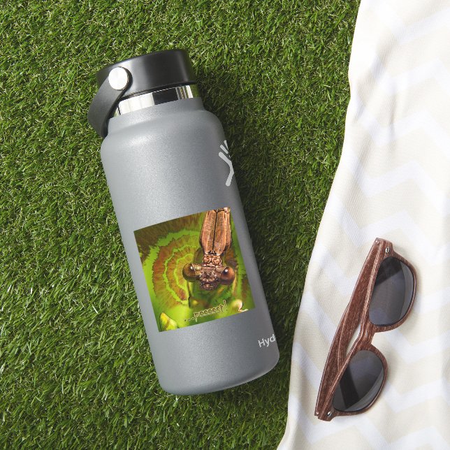 ¡Psssst! Feliz Pegatina de fotos de Damselfly (HydroFlask Insitu)