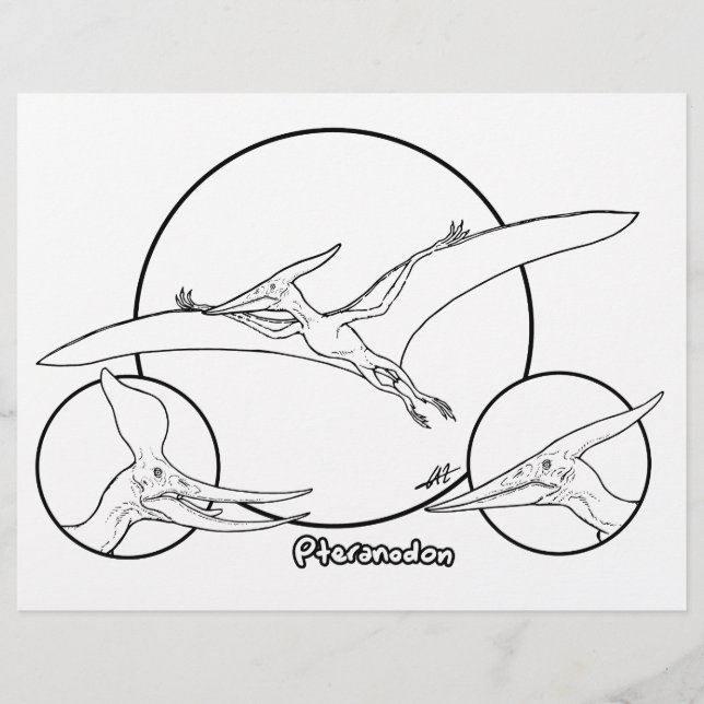 Pteranodon - Página de coloreado. (Anverso)