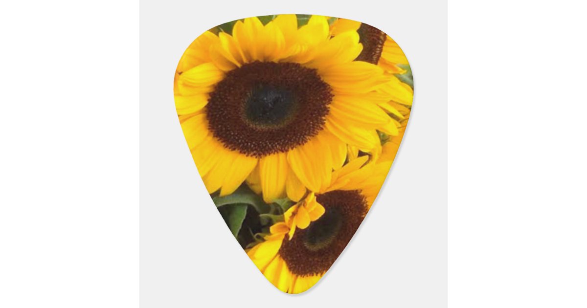 Púa De Guitarra Girasol 