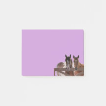 Publica notas Caballos