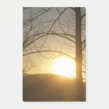 Publica notas (elige tu tamaño)