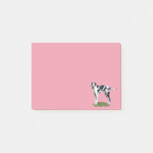Publica una nota de Great Dane Dog