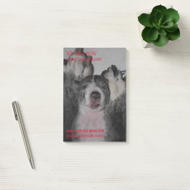 Publicación de notas de una página de Facebook (Oficina)