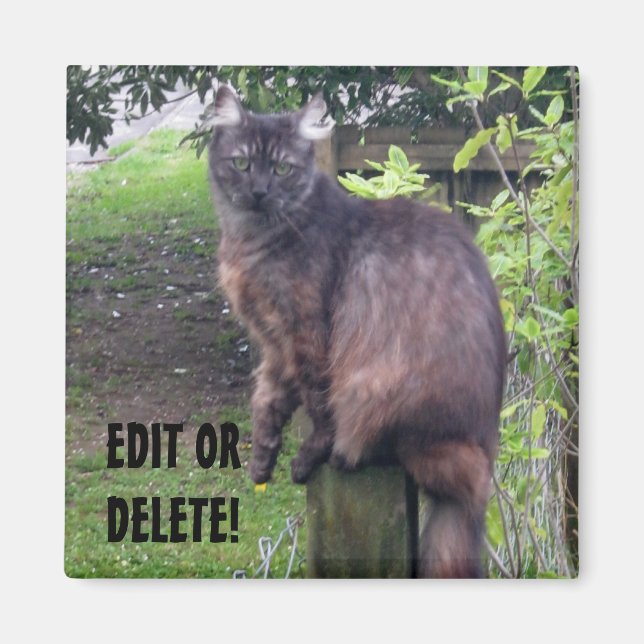 Publicar imán de gato (Frente)