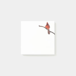 Publicar nota Cardenal