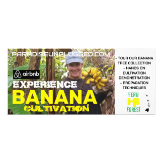 PUBLICITARIA TARJETA DE CULTIVO DE PLÁTANO EXPERIMENTAL