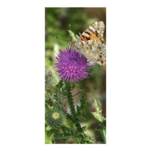Publicitaria Tarjeta de mariposa en fotografía de naturaleza
